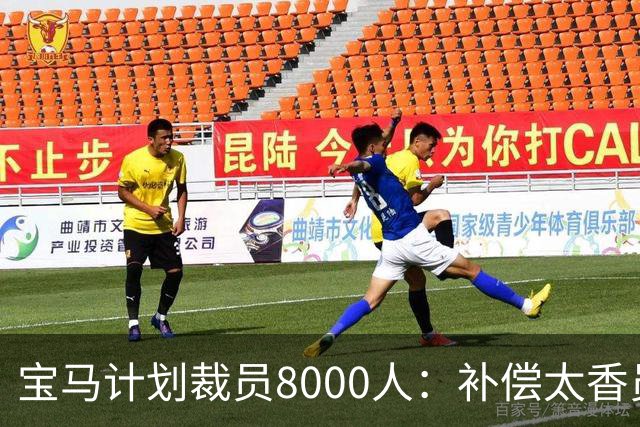 宝马计划裁员8000人：补偿太香员工竟抢着走