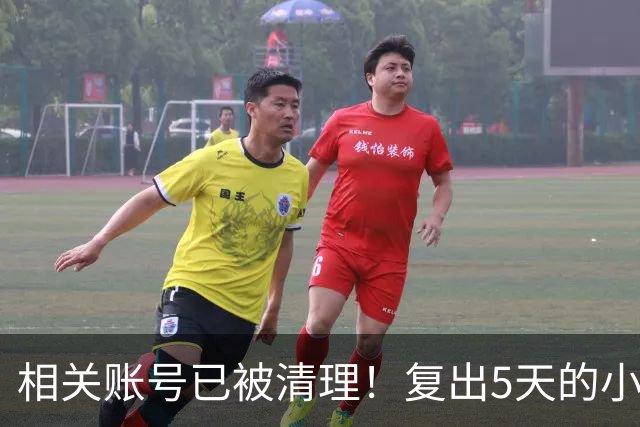 相关账号已被清理！复出5天的小杨哥，就撞上难堪一幕