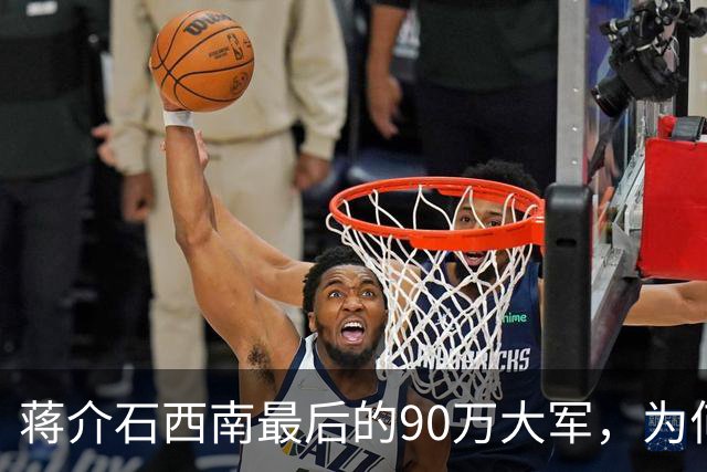 蒋介石西南最后的90万大军，为何一夜之间全成了“自己人”
